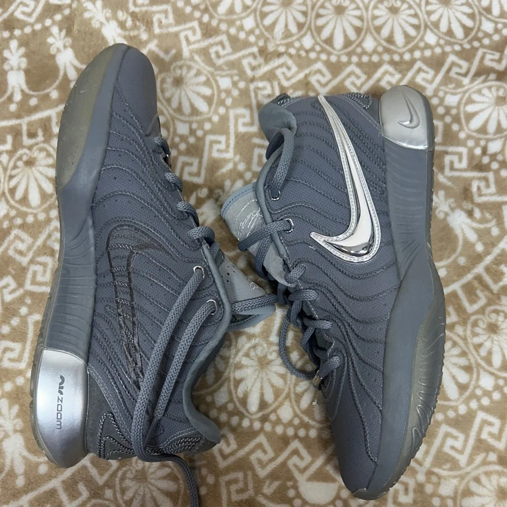 Nike LeBron 21 Cool Grey